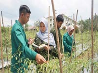 Regular Afternoon Class Program Universitas Boyolali Nomor 10